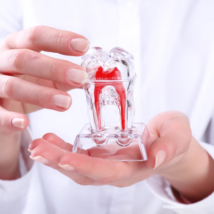 Endodoncja Rzeszów - Krawdent Stomatologia